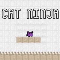 Have fun with Boo!. . Ninja cat unblocked games